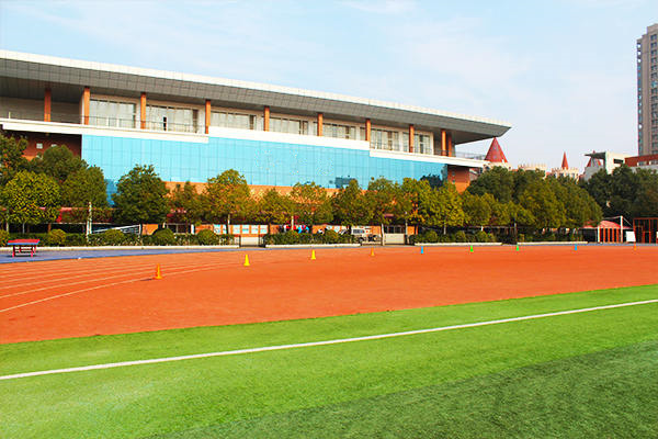 在尔湾生子后，孩子还能不能回国上学
